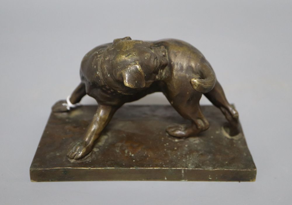 A bronze figure of a bull terrier, overall length 15.5cm